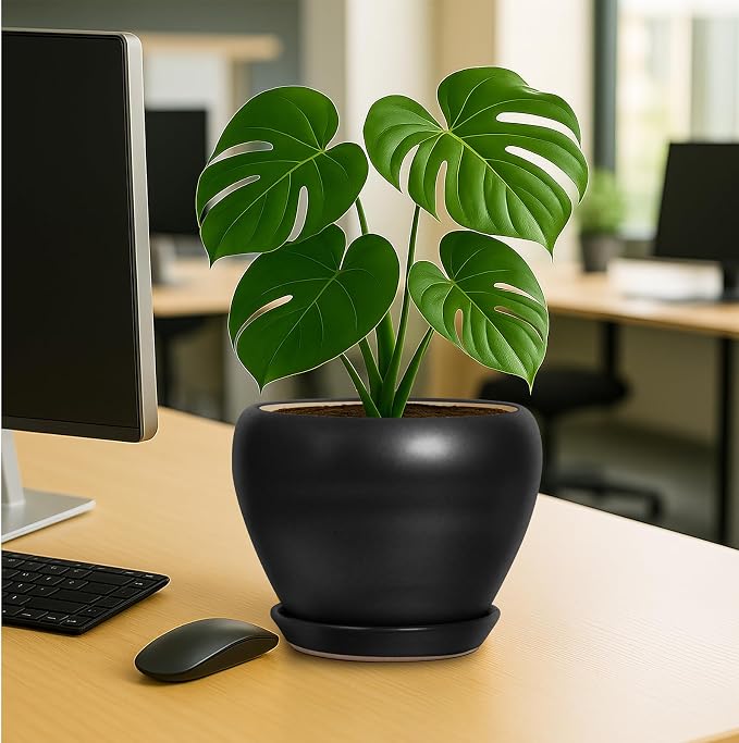 Deep Dream 8 Inch Plant Pot - Image 4