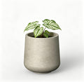 Kante Weathered Concrete Planter 16.5" Dia All-Weather Round Large Pot | by Unknown