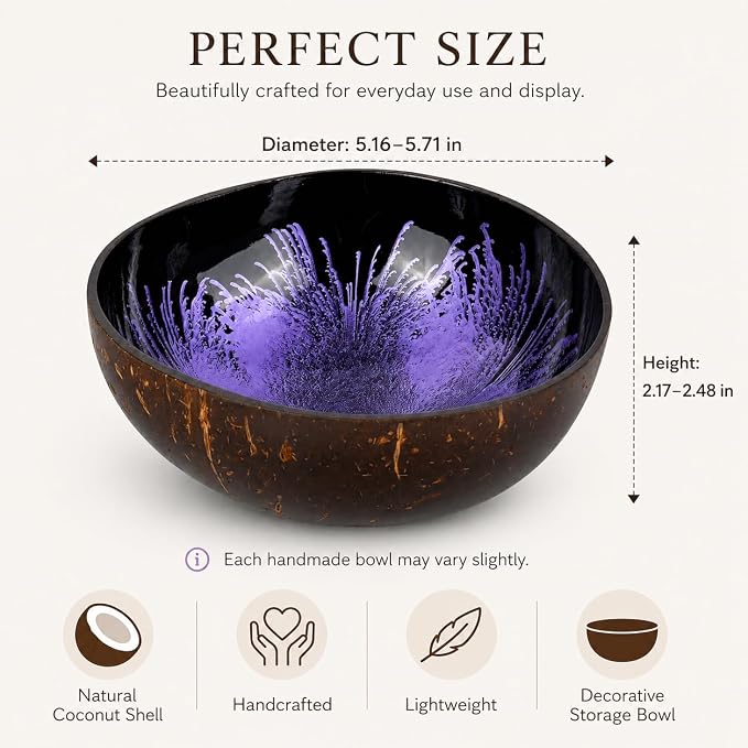 Natural Coconut Bowl Key Decorative - Image 2