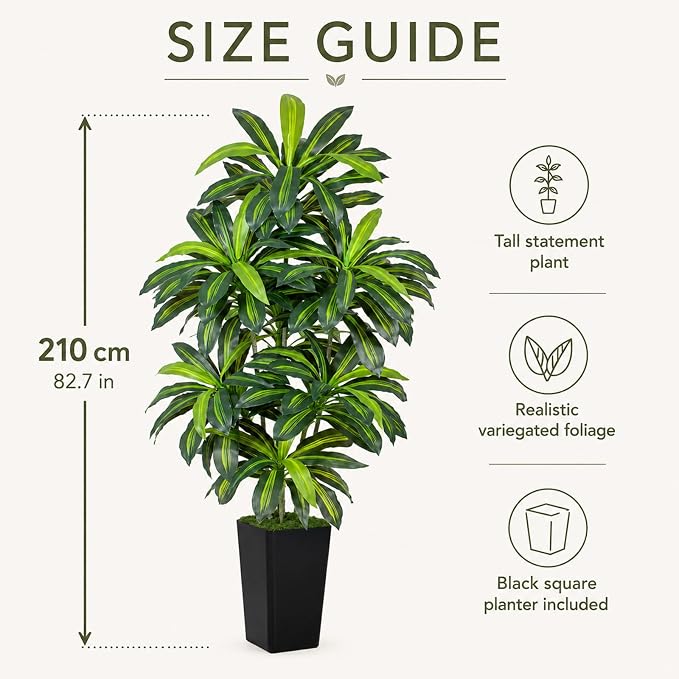 7FT Artificial Dracaena Tree - Image 3