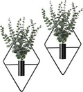 Jexine 4 Pcs Hanging Planters by Jexine