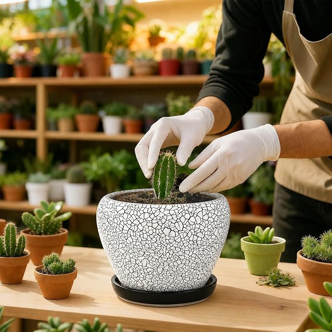 Deep Dream 6 Inch Plant Pots- Ceramic Planter Pot - Image 5