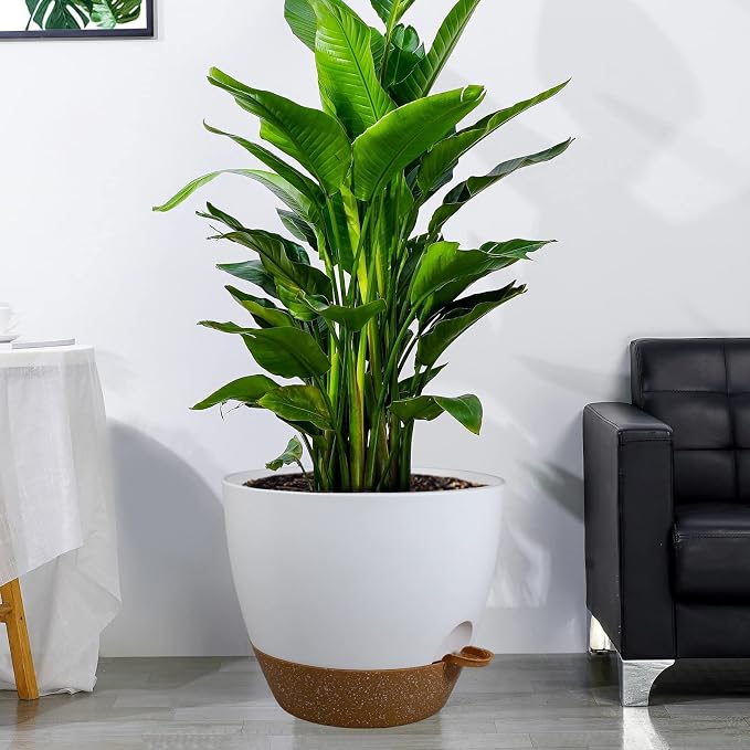 UOUZ 12 inch Large Self Watering Pots, Plastic Planters - Image 6