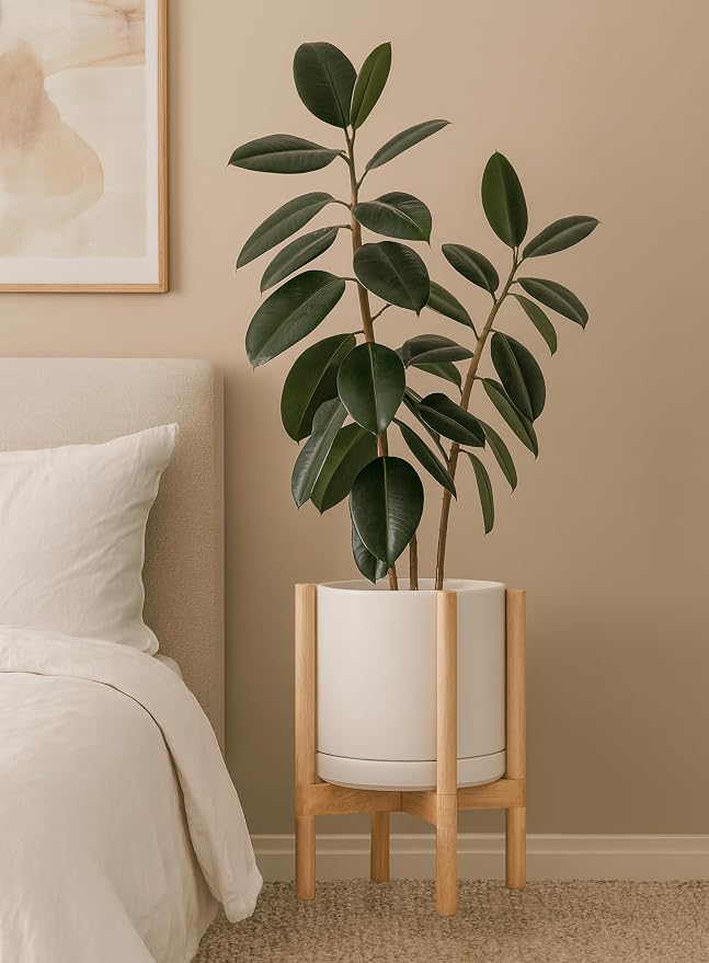 D'vine Dev Ceramic Pot with Natural Wood Stand, 10 in, 55-B-K-8 | Mid-Century - Image 6