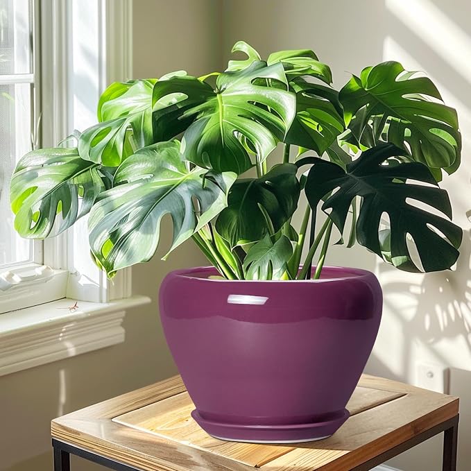 Ceramicfor 10 Inch Plant Pot - Image 6