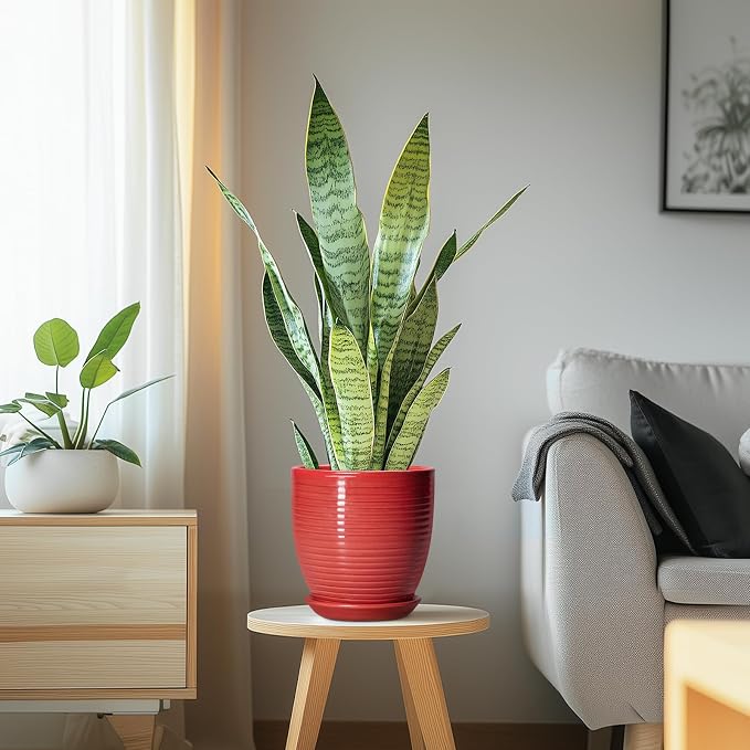 6 Inch Ceramic Plant Pot - Image 6