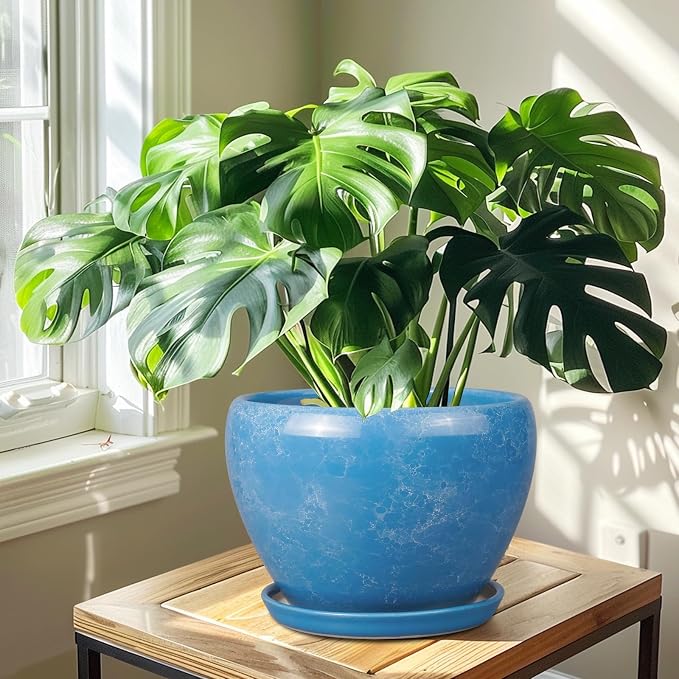 Ceramicfor 10 Inch Planter Pot - Image 7