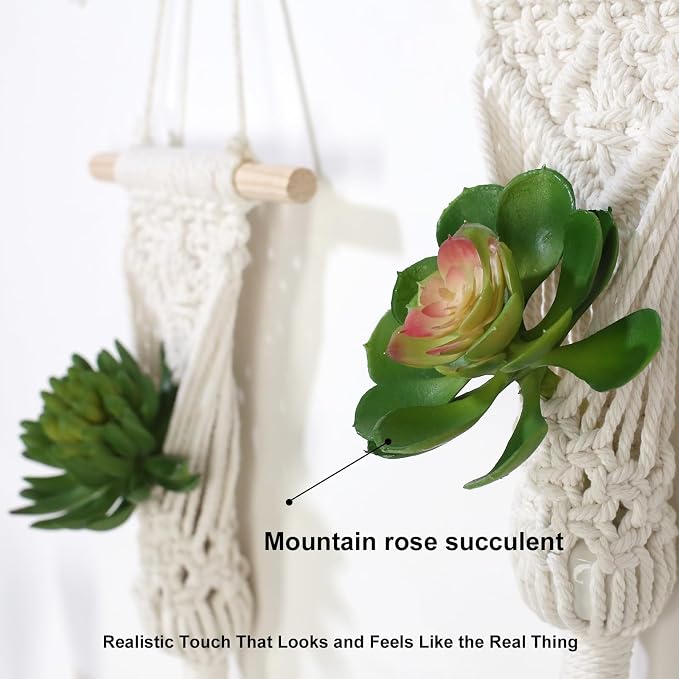 Macrame Wall Hanging Plant Holder - Image 6
