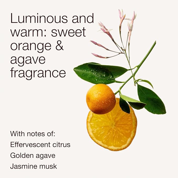 Bath & Body Works 3-Wick Candle, Sweet Orange & Agave Citrus Candle, Strong - Image 3