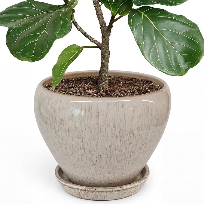 Deep Dream 10 Inch Plant Pot- Ceramic Planter Pot Round Plant Pots by DeepDream