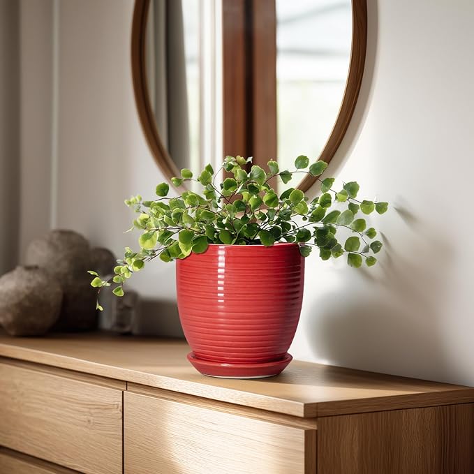 6 Inch Ceramic Plant Pot - Image 3