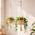 Shappy 2 Pack Boho Macrame Plant Hanger by Shappy