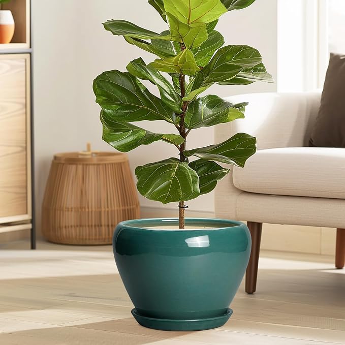 Ceramicfor Ceramic Planter for Indoor Plants 10 Inch, Glaze Round Decorative - Image 2