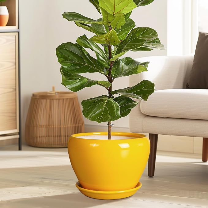 Ceramicfor Ceramic Planter - Image 2