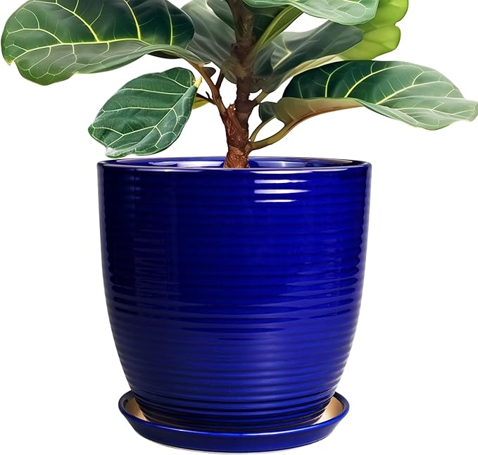 Ceramic Planter Pot by EPFamily