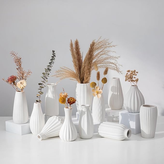 NUPTIO White Ceramic Bud Vase: Small Assorted Vases 12 Pcs, Unglazed | Table by Nuptio