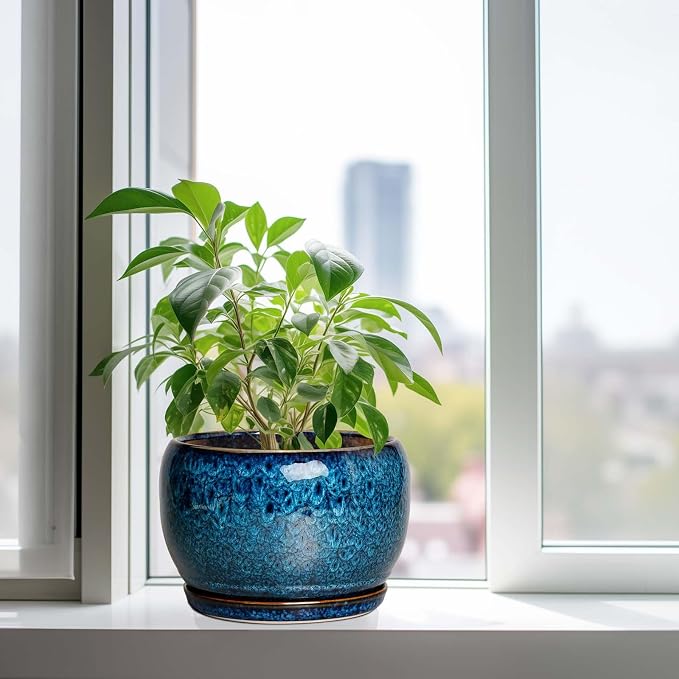 SQOWL 10 Inch Plant Pot - Image 4
