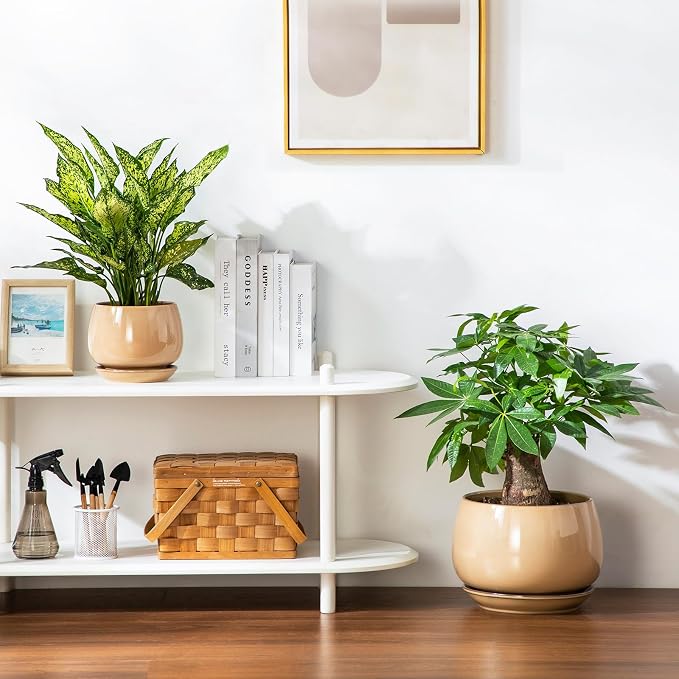 vancasso 3-Pack Ceramic Plant Pots, 7.3/9.6/11.6 Inch Indoor Planters - Image 8