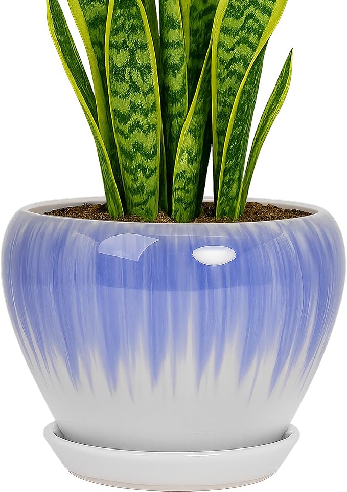 Deep Dream 8 Inch Plant Pots- Ceramic Pots by DeepDream