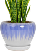 Deep Dream 8 Inch Plant Pots- Ceramic Pots by DeepDream