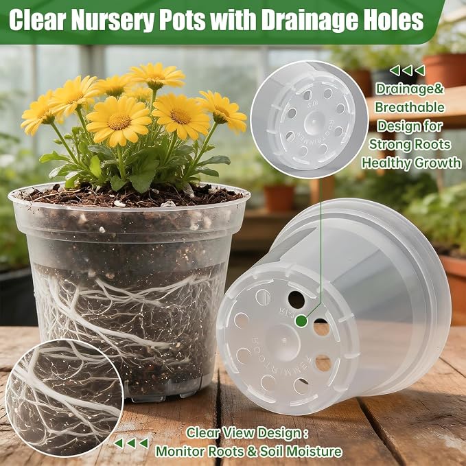 3 Inch Clear Nursery Pots 100 Pcs - Image 2