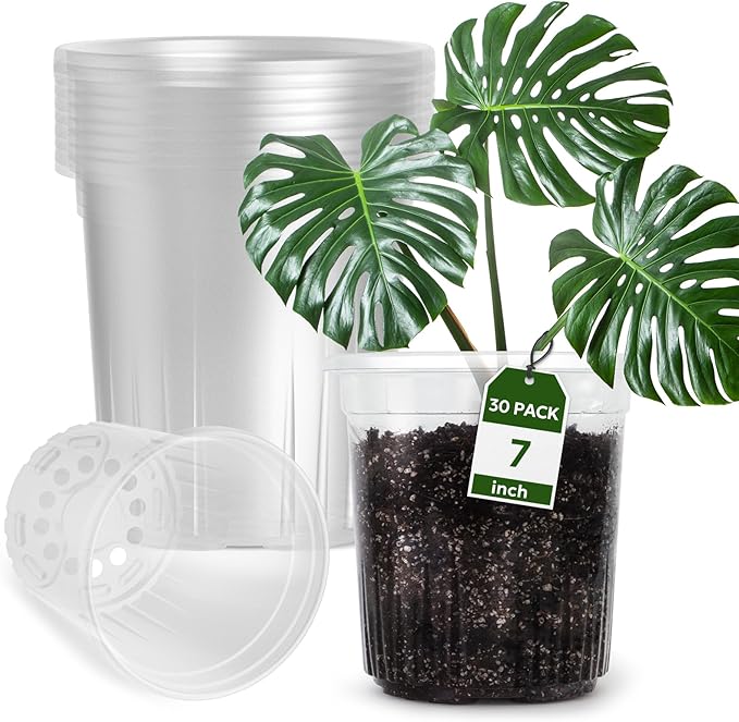 Bluepro Clear Nursery Pots by Bluepro