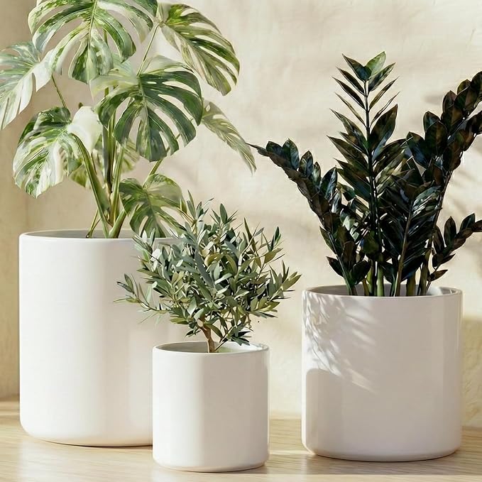 LE TAUCI 10+8+6 Inch Ceramic Pots by LETAUCI