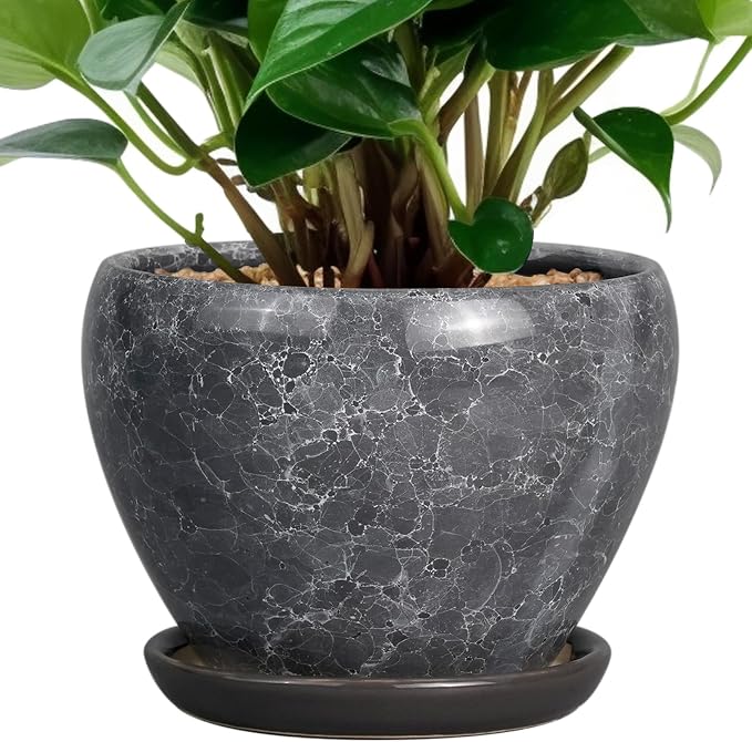 Ceramicfor Ceramic Planter by Ceramicfor