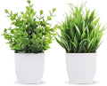 Der Rose 2 Pack Fake Plants Green Small Faux Plants by DerRose