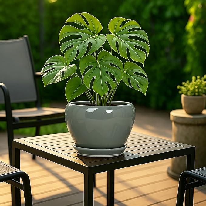 Deep Dream 8 Inch Plant Pots- Ceramic Pots - Image 2