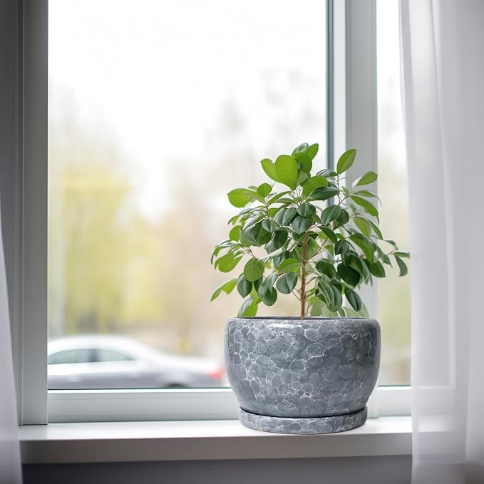 SQOWL 8 inch Plant pots Indoor - Image 4