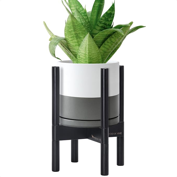 D'vine Dev Ceramic Pot with Ebony Wood Stand, 8 in, 55-B-M-6 | Mid-Century by DvineDevPlanterPotsandStand