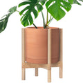 D'vine Dev Terracotta Pot with Natural Wood Stand, 12 in, 55-B-J-5 | by DvineDevPlanterPotsandStand