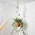 Shappy 1 Pack Boho Macrame Plant Hanger by Shappy