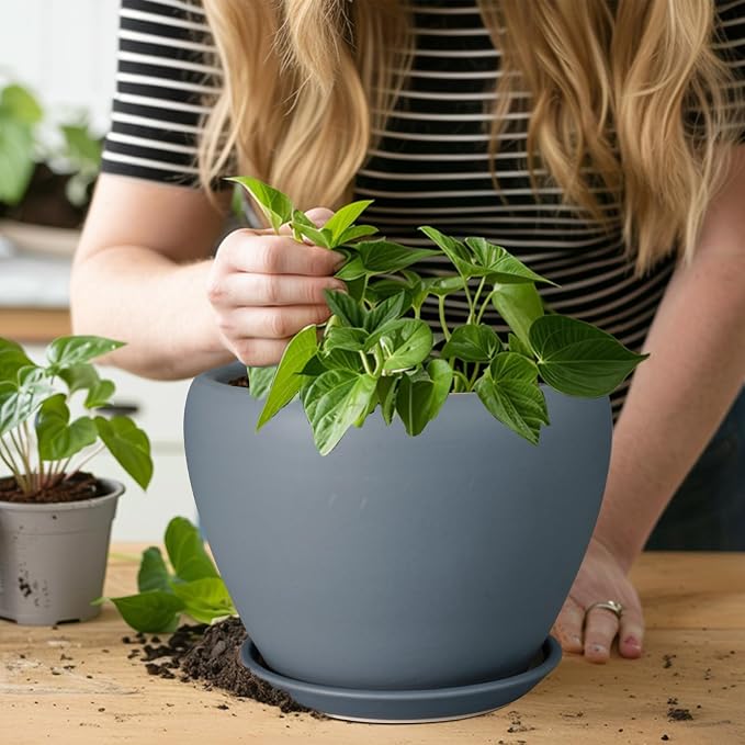Ceramicfor Ceramic Pot for Plants, 8 Inch Plant Pot, Matte Gray | Plant Pots - Image 4