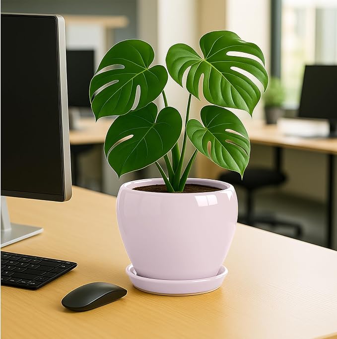 Deep Dream 8 Inch Plant Pots- Ceramic Pots - Image 4
