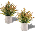 Coferset 2 Pack Small Fake Plants Eucalyptus Potted by Coferset