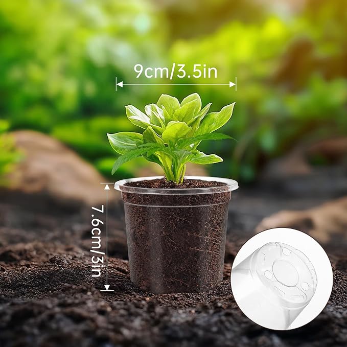 30 Pack Clear Nursery Plant Pots, 3.5 Inch - Image 4