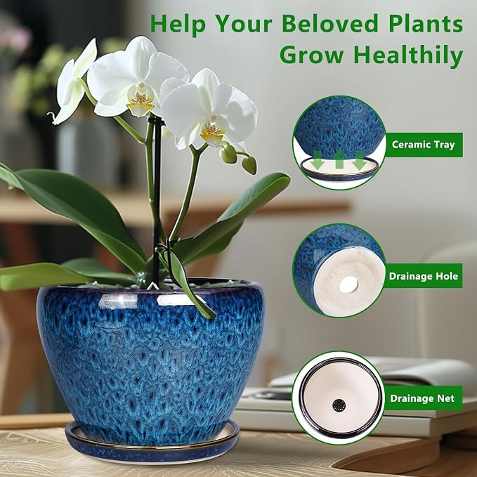 Ceramicfor 10 Inch Ceramic Planter Pot, Ceramic Plant Pot - Image 5