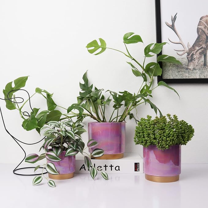Gepege Ceramic Plant Pots for Indoor Plants, Planters - Image 5