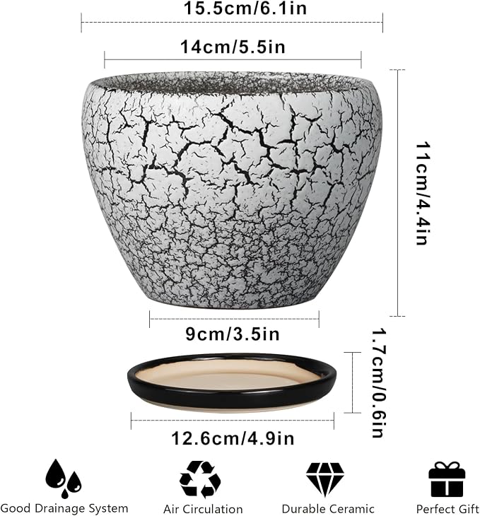Ceramicfor Ceramic Planter Pot - Image 3