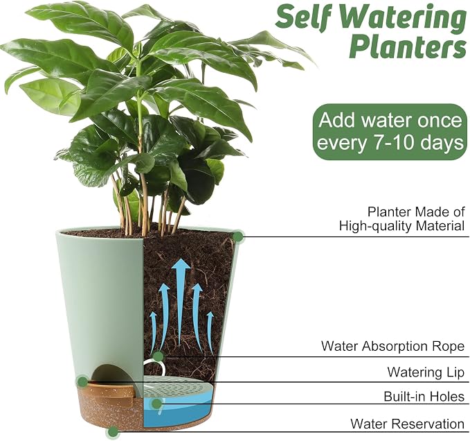 YNNICO Indoor Self Watering Planters - Image 5
