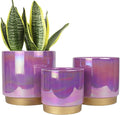 Gepege Ceramic Plant Pots for Indoor Plants, Planters by Gepege