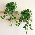 Artificial Pothos Hanging Plant, Office Decor by Unknown