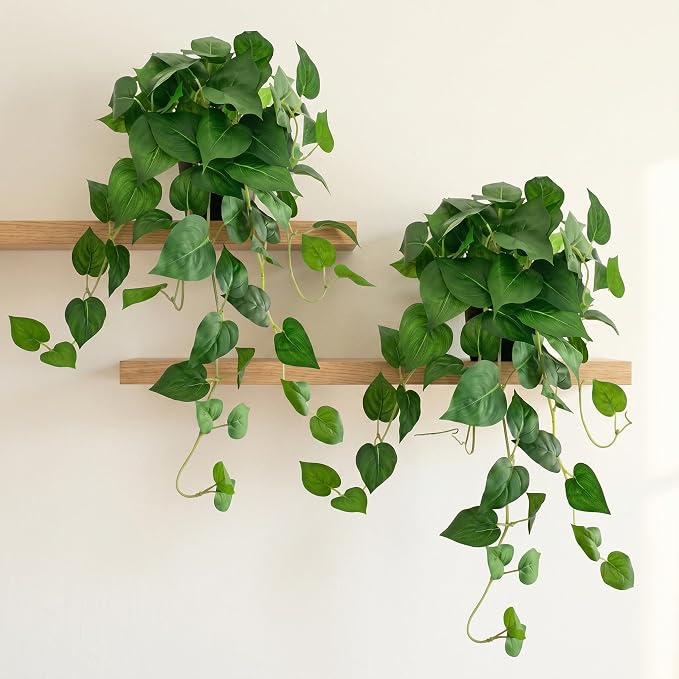 Artificial Pothos Hanging Plant, Office Decor by Unknown