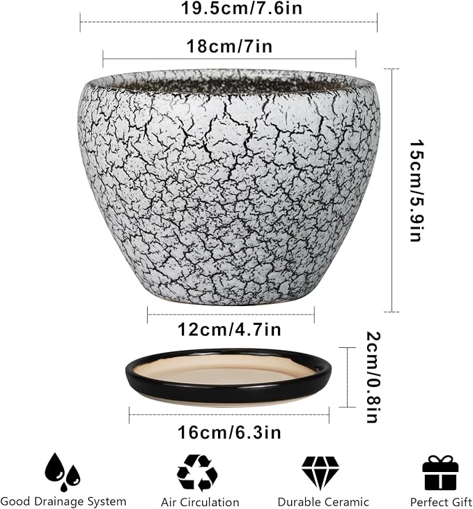 Ceramicfor Ceramic Plant Pot 8 Inch - Image 3