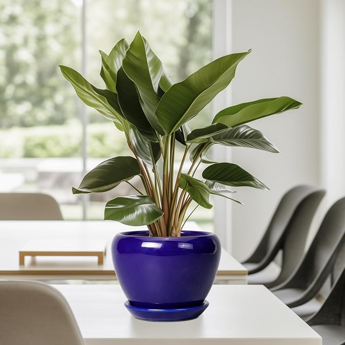 Ceramicfor 6 Inch Plant Pot - Image 7