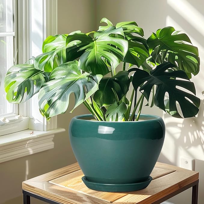 Ceramicfor Ceramic Planter for Indoor Plants 10 Inch, Glaze Round Decorative - Image 6