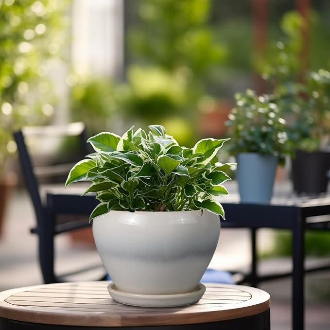 Ceramicfor Planter Pot 6 Inch - Image 4