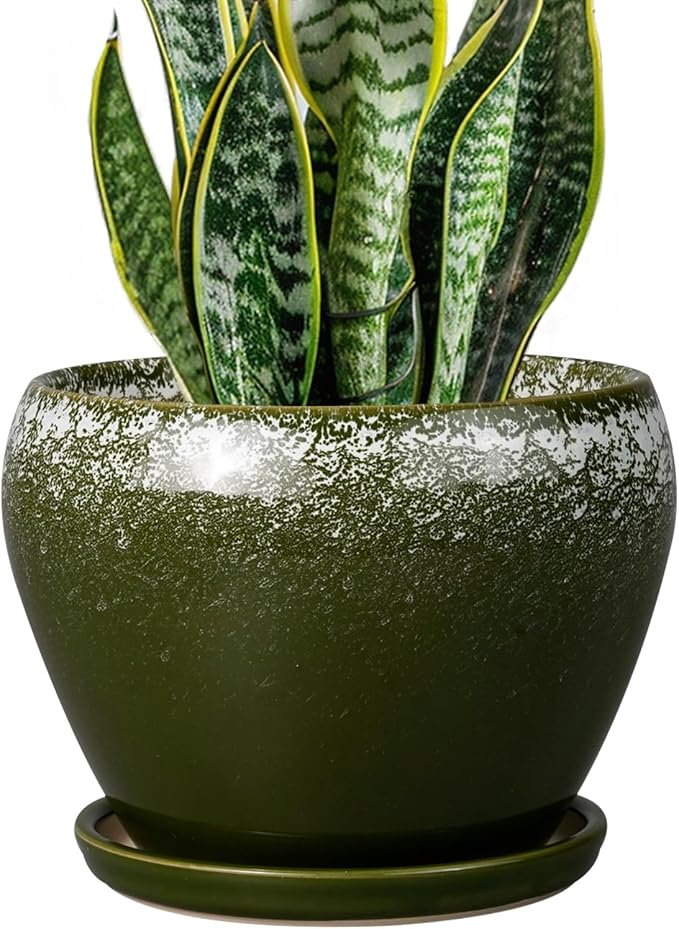 Ceramicfor 8 Inch Plant Pot by Ceramicfor